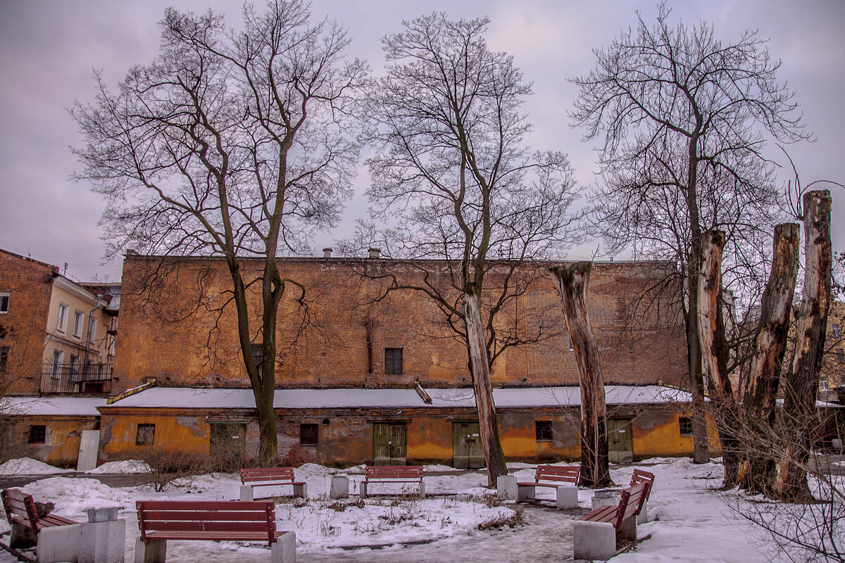 Длинная короткая жизнь
