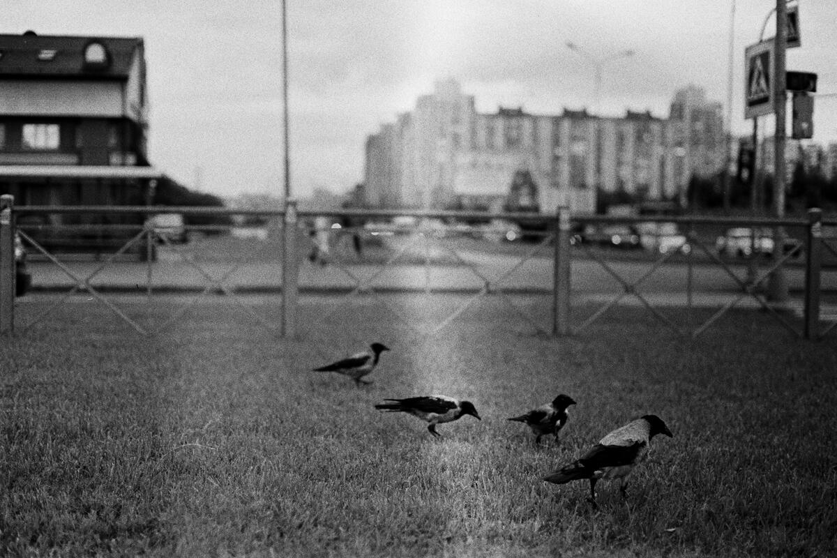 Городгерой: жители