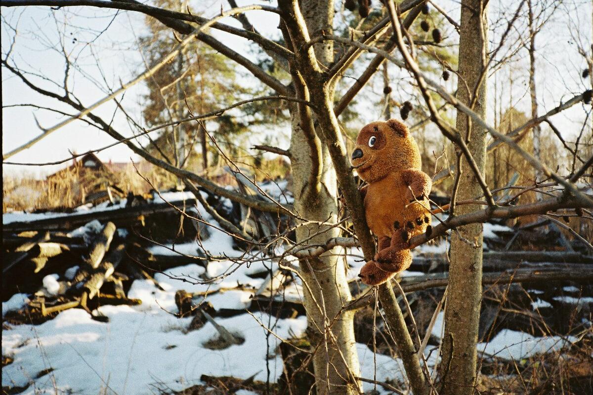 Внимание, коммуникация